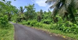 Tanah kebun dekat dengan pantai dan jalan Denpasar Gilimanuk