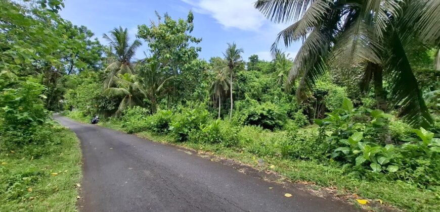 Tanah kebun dekat dengan pantai dan jalan Denpasar Gilimanuk