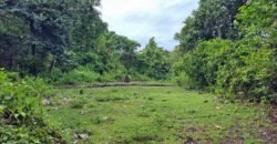 Tanah kebun los sungai dekat dengan pantai