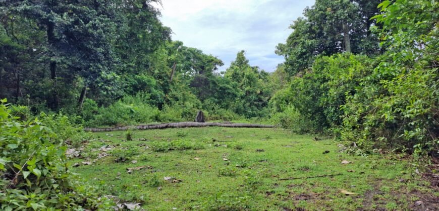 Tanah kebun los sungai dekat dengan pantai