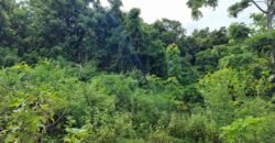 Tanah kebun los sungai dekat dengan pantai