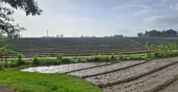 Tanah dengan view sawah dan sunset