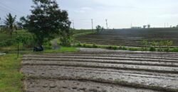 Tanah dengan view sawah dan sunset