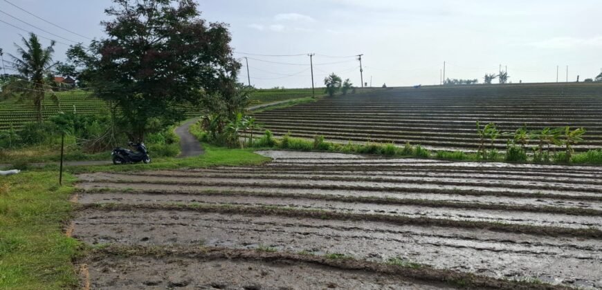 Tanah dengan view sawah dan sunset