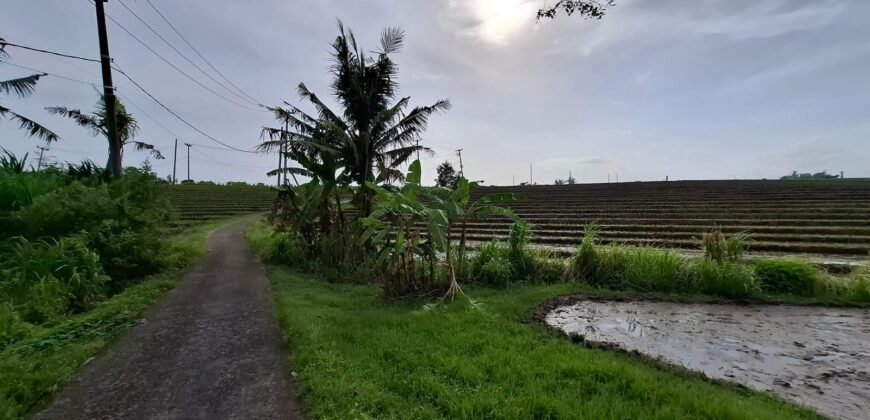 Tanah dengan view sawah dan sunset