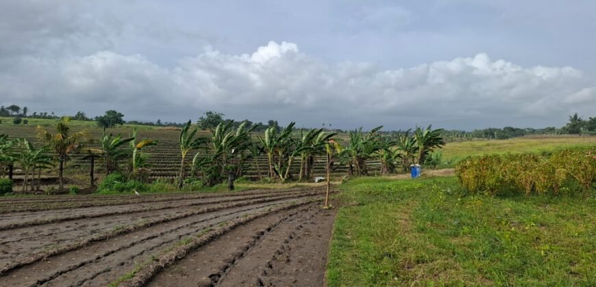 Tanah dengan view sawah dan sunset