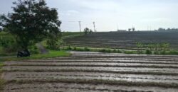 Tanah dengan view sawah dan sunset