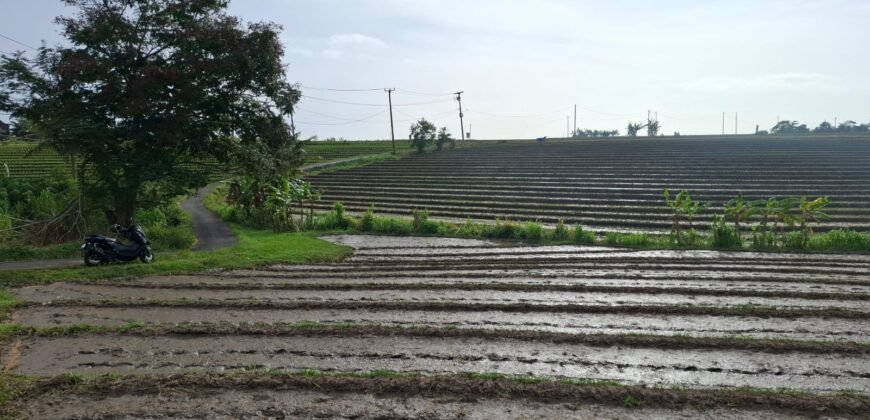 Tanah dengan view sawah dan sunset