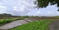 Tanah dengan view sawah dan sunset