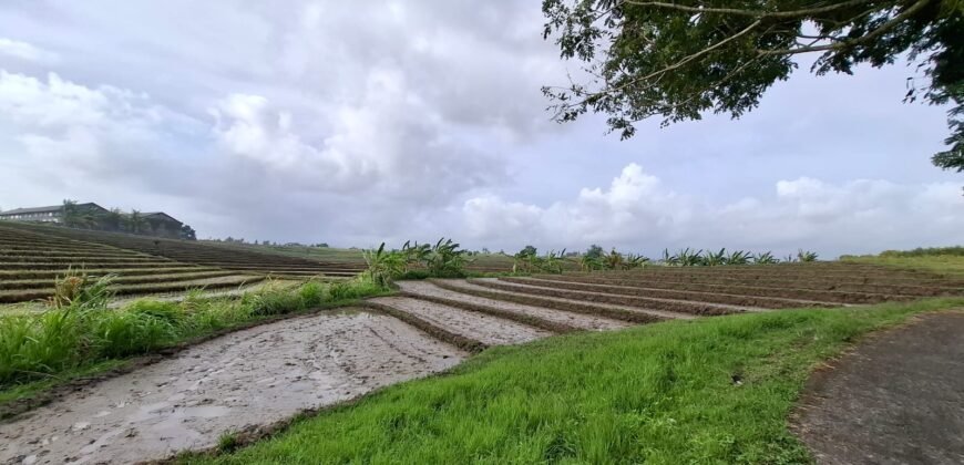 Tanah dengan view sawah dan sunset