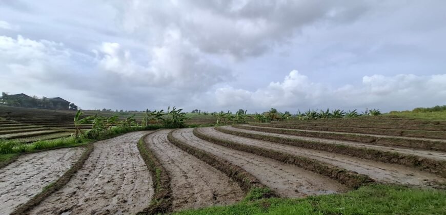 Tanah dengan view sawah dan sunset