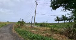 Tanah dengan view sawah dan sunset