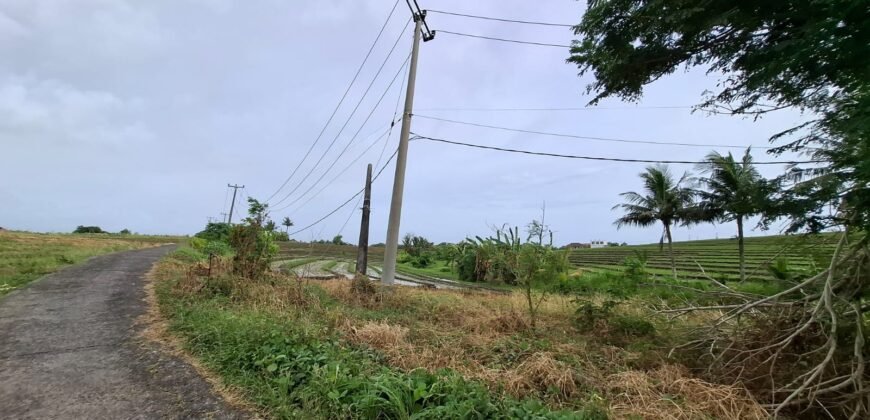 Tanah dengan view sawah dan sunset