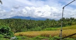 Tanah dengan view sawah dan gunung