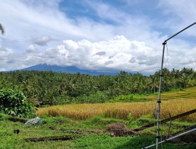 Tanah dengan view sawah dan gunung