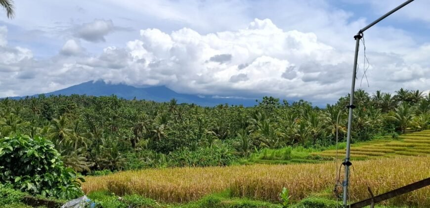 Tanah dengan view sawah dan gunung