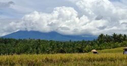 Tanah dengan view sawah dan gunung