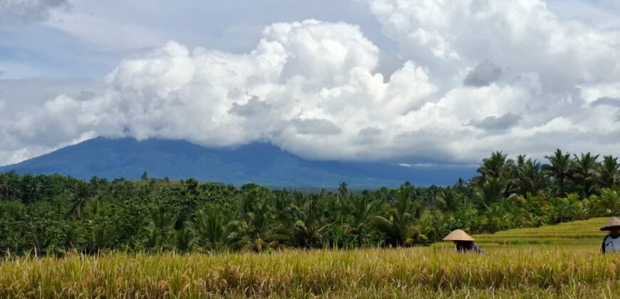 Tanah dengan view sawah dan gunung