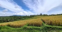 Tanah dengan view sawah dan gunung