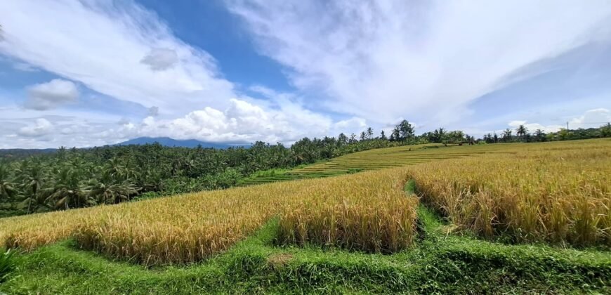 Tanah dengan view sawah dan gunung
