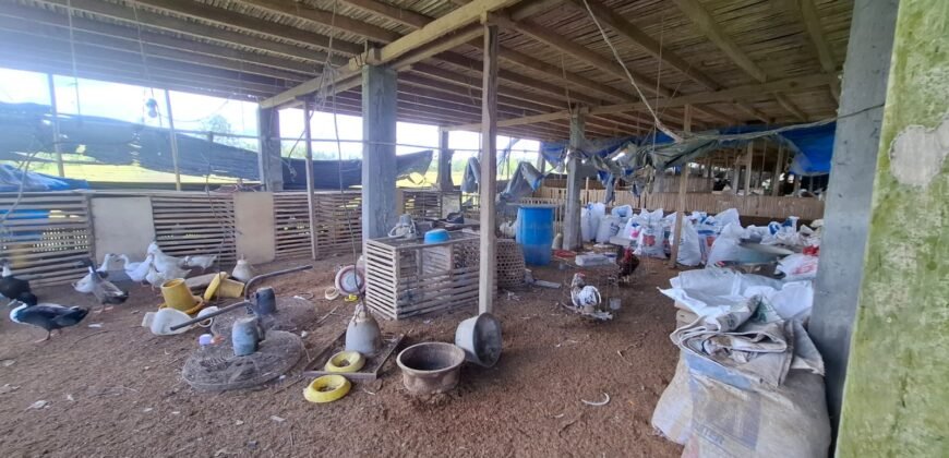 Tanah dengan view sawah dan gunung