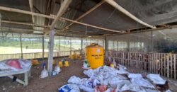 Tanah dengan view sawah dan gunung