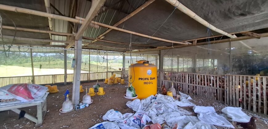 Tanah dengan view sawah dan gunung
