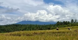 Tanah dengan view sawah dan gunung