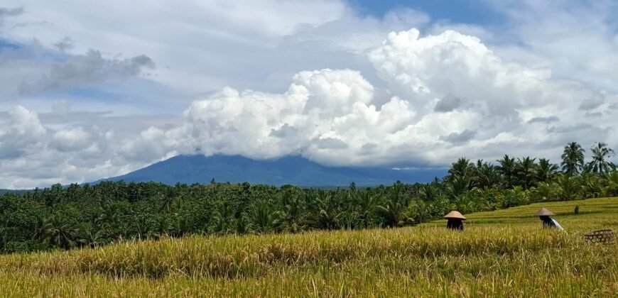 Tanah dengan view sawah dan gunung