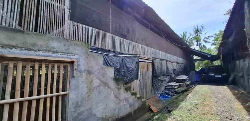 Tanah dengan view sawah dan gunung