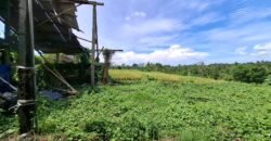 Tanah dengan view sawah dan gunung