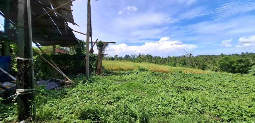 Tanah dengan view sawah dan gunung